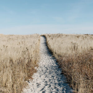 Weg über Düne